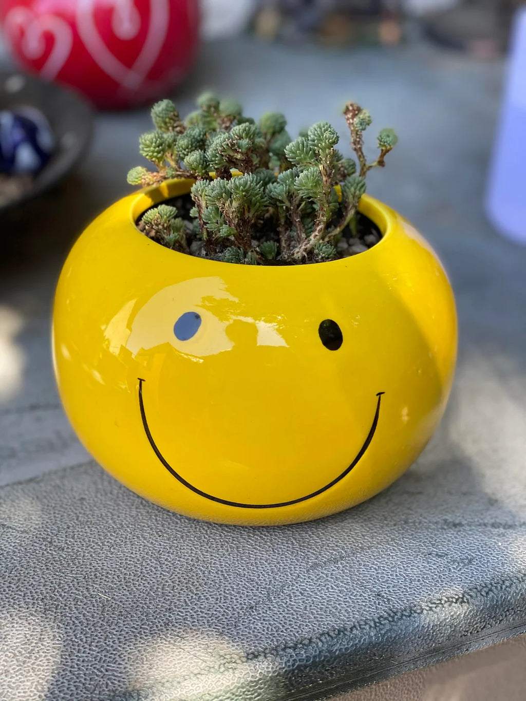 Smiley Face Ceramic Planter