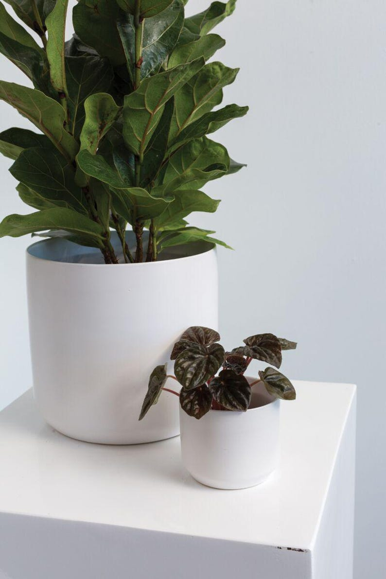 White Ceramic Planter