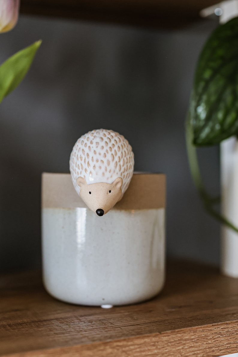 Ceramic Hedgehog Pot Hugger