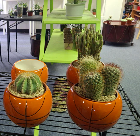 Basketball Ceramic Planter