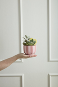 Pink Striped Ceramic Vase