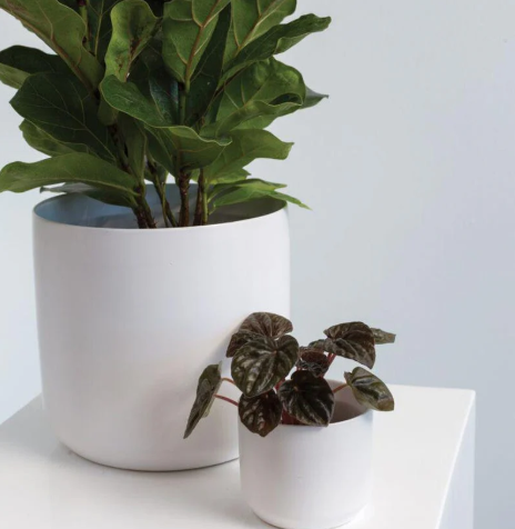 White Ceramic Planter
