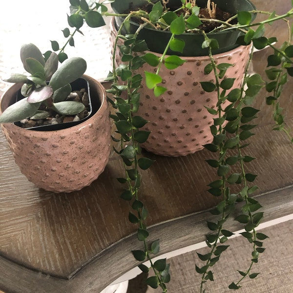 Pink Dot Ceramic Planter