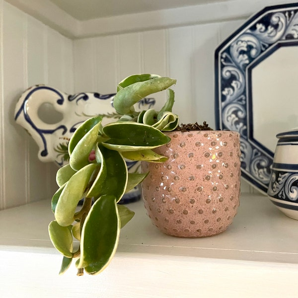 Pink Dot Ceramic Planter