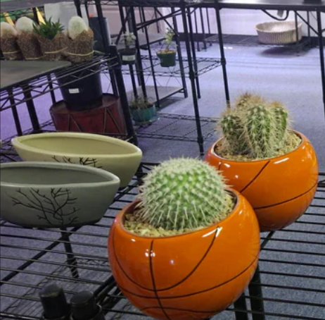Basketball Ceramic Planter