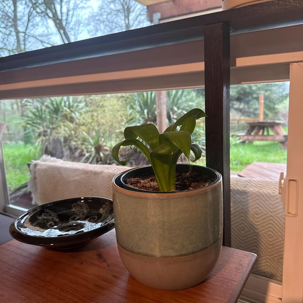 Blue & Green Ceramic Planter